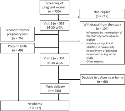 Second trimester vaginal Candida colonization among pregnant women attending antenatal care in Bukavu, Democratic Republic of the Congo: prevalence, clinical correlates, risk factors and pregnancy outcomes